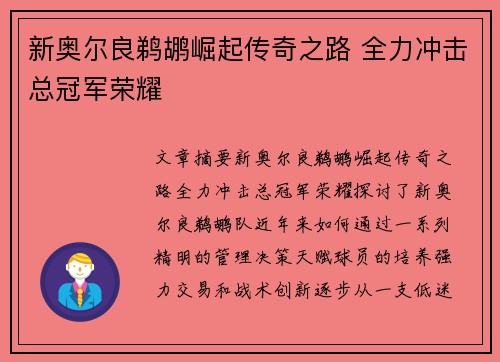 新奥尔良鹈鹕崛起传奇之路 全力冲击总冠军荣耀