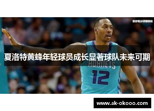 夏洛特黄蜂年轻球员成长显著球队未来可期