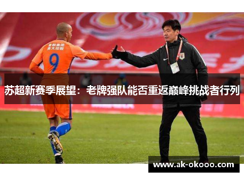 苏超新赛季展望:老牌强队能否重返巅峰挑战者行列 苏超新赛季展望:老牌强队能否重返巅峰挑战者行列